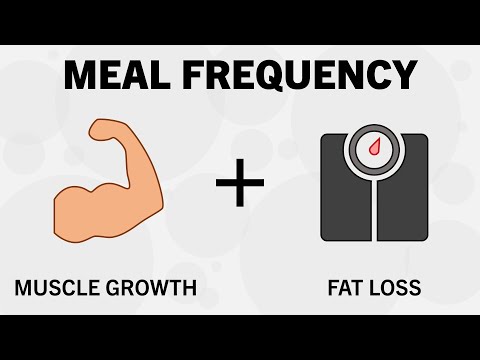 How Many Meals per Day Should You Eat?