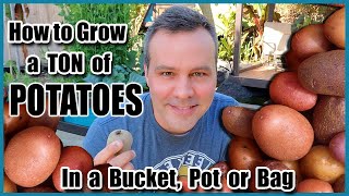 How to Grow a LOT of Potatoes in a Bucket, Bag or Pot