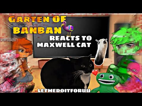 Some character of Garten of BanBan react to Maxwell cat and LET ME DO IT FOR YOU ( Dog )