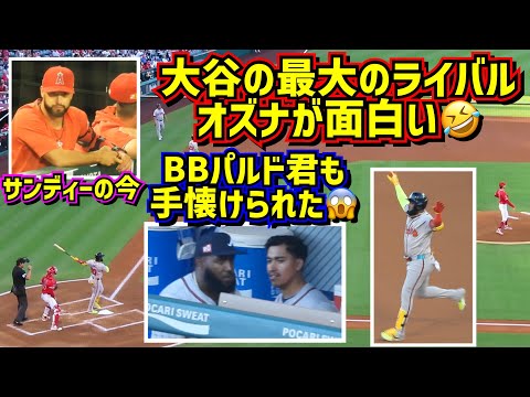 大谷とタイトル争うオズナを追ったら面白過ぎた🤣サンドバルの今 【現地映像】8/17エンゼルスvsブレーブス