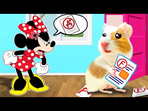 Don't Mad At Hamster! Hamster HamHam Got Bad Grade