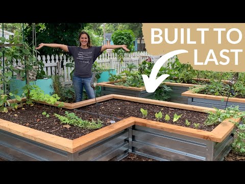 The ULTIMATE Raised Garden Beds for a Front or Backyard Vegetable Garden