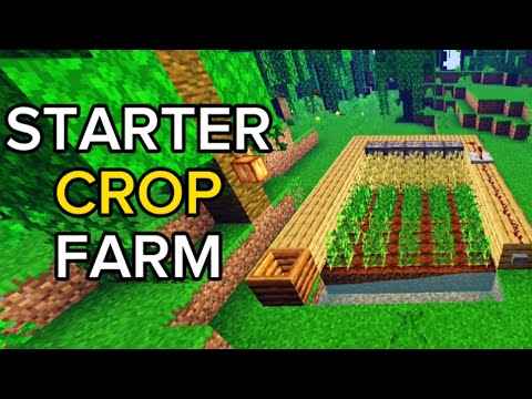 Starter Crop Farm in Minecraft