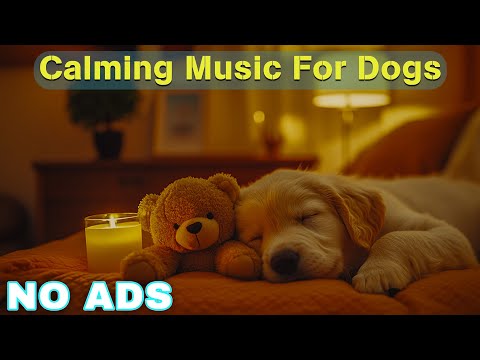 12 HOURS of Dog Calming Music for Dogs🦮💖Anti Separation Anxiety Relief Music🐶🎵Music for Dogs