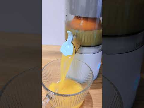 Electric Citrus Juicer #homehacks #kitchengadgets