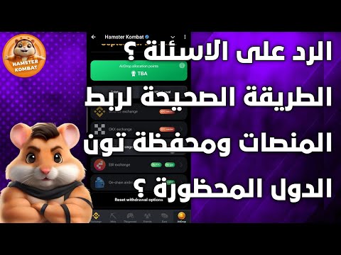 الرد على الاسئلة وشرح الطريقة الصحيحة لربط بوت هامستر كومبات بالمنصات والمحفظة سحب ارباح بوت هامستر