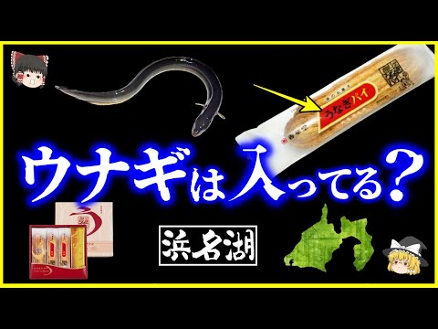 【ゆっくり解説】「うなぎパイ」にウナギは入っているか？浜名湖とウナギの関係性は？を解説