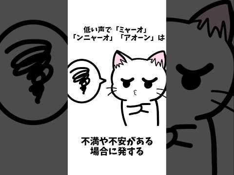 【1分雑学】猫の鳴き声に関する雑学#shorts #1分雑学