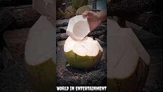 fresh coconut cutting skills #coconut #cuttingskills #skills 2