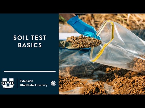 Soil Test Basics