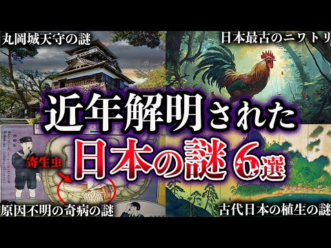 【ゆっくり解説】近年、解明された日本の謎６選【Part2】