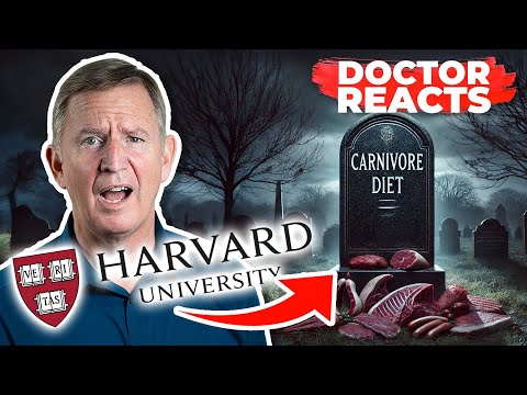 DEBUNKING Harvard's INSANE Carnivore Study - Doctor Reacts