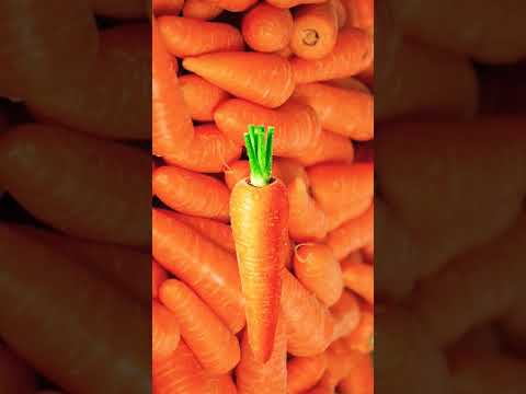 carrot 🥕🥕 || carrot animation #shorts #carrot #animation #shortsfeed