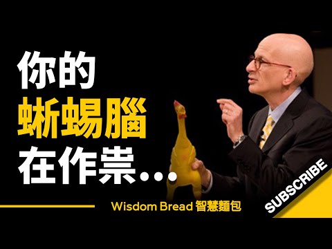 為什麼我們經常感到力不從心？► 那是你的蜥蜴腦在作祟... - 賽斯．高汀 Seth Godin（中英字幕）