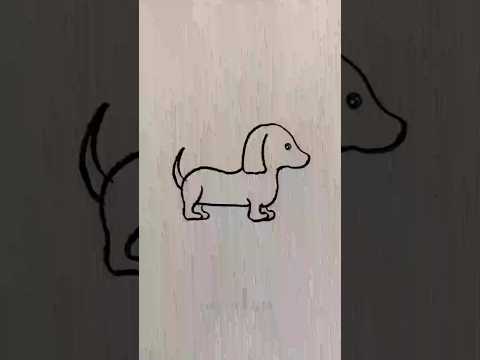 How to draw a Dachsund dog short #dog drawing step by step