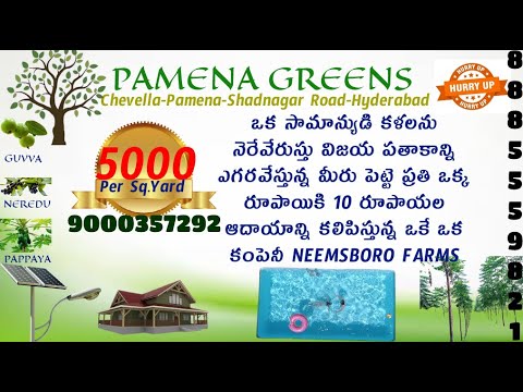 #PAMENA GREENS#REAL-ESTATE#CHEVELLA#NEEMSBORO#9000357292#8885559821