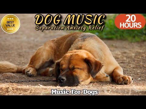 20 HOURS of Dog Calming Music🐶🎵Anti Separation Anxiety Music💖🦮Relaxation Musid for dogs⭐Healingmate