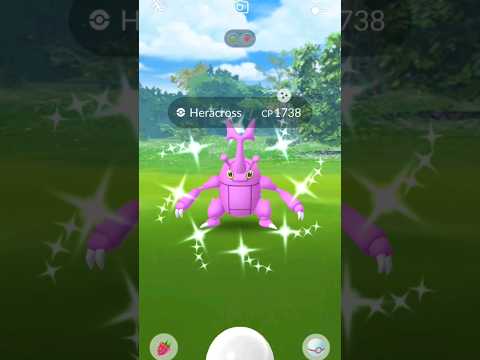 Shiny Mega Heracross Raid Day #PokemonGO