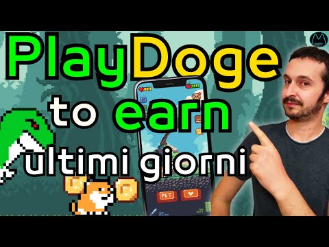 Play to earn pronto al lancio.... Playdoge la presale sta per terminare