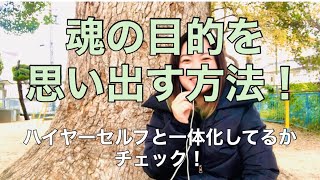 ハイヤーセルフと自分が繋がってるかチェック！魂の目的を思い出す方法！ハイヤーセルフと人間の自分を一体化させると、勝手に進んでいくよ！