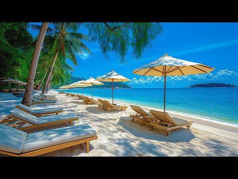 Calm Beach Atmosphere With Positive Bossa Nova Jazz - Bossa Nova Jazz Melody & Ocean Waves Sounds