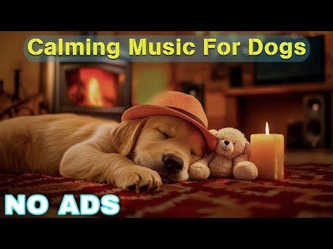 12 Hours of Healing Music for Dogs 🦮 Dog Relaxing Music for Stress Relief 🐶 Dog Anxiety Music💖No Ads