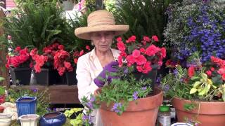 How to Plant a Container Garden