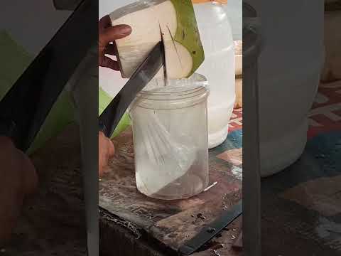 VERY  SATISFYING FRESH COCONUT WATER #satisfying #bukojuice #streetfood #youtubeshorts #Gatchie Jr