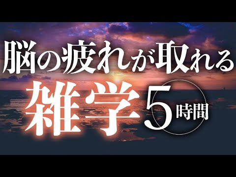 【睡眠導入】脳の疲れが取れる雑学5時間【合成音声】