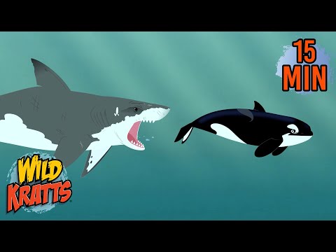 Every Creature Rescue Part 23 | Protecting The Earth's Wildlife | New Compilation | Wild Kratts