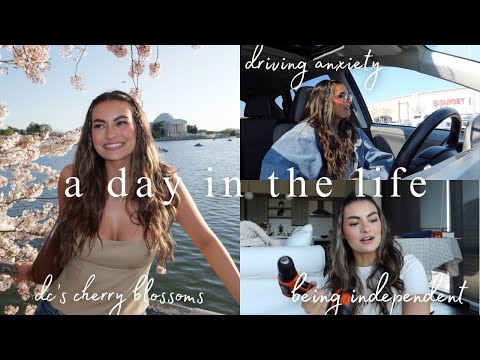 independent era | driving w anxiety, DC's cherry blossoms, life updates, home decor