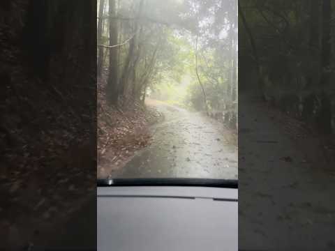 冒険の、、雨降り☔️林道ドライブ🚙