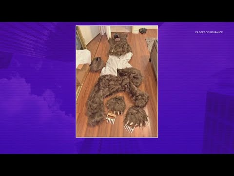 Fake bear videos lead to insurance fraud charges