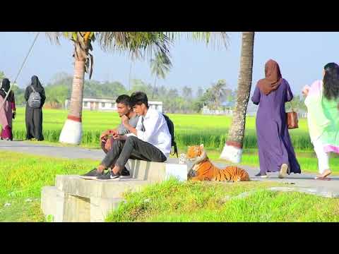 Fake Tiger Prank | Fake Tiger vs Man Prank on Public (Part 25) | 4 Minute Fun