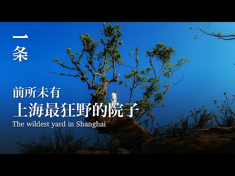 【EngSub】The wildest yard in Shanghai 上海最狂野的院子