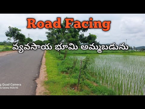 Agriculture land for sale// వ్యవసాయ భూమి అమ్మబడును