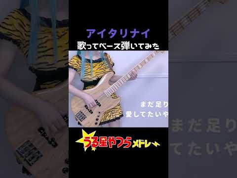 『うる星やつら』アイタリナイ 歌ってベース弾いてみた bass cover