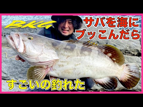 BKGで超高級巨大魚を釣ってきたin対馬