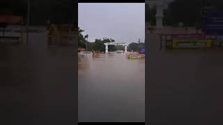 District Collector office Thoothukudi - #tnrains