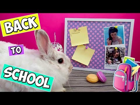 DIY |  ШКОЛЬНЫЕ ПРИНАДЛЕЖНОСТИ СВОИМИ РУКАМИ | СНОВА В ШКОЛУ | BACK TO SCHOOL | IRA M