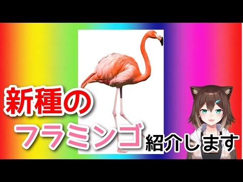 新種のフラミンゴ【にじさんじ】