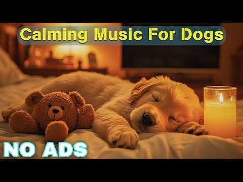 12 Hours of Healing Music for Dogs 🦮 Dog Relaxing Music for Stress Relief 🐶 Dog Anxiety Music💖No Ads