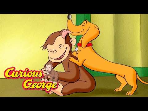 George and the Playful Dog! 🐵 Curious George 🐵 Kids Cartoon 🐵 Kids Movies