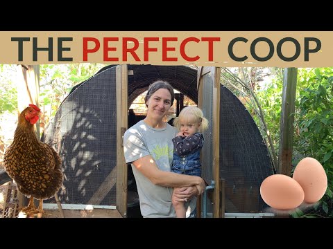 BEST Chicken Coop for ANY Budget + Tips for Designing a Chicken Coop