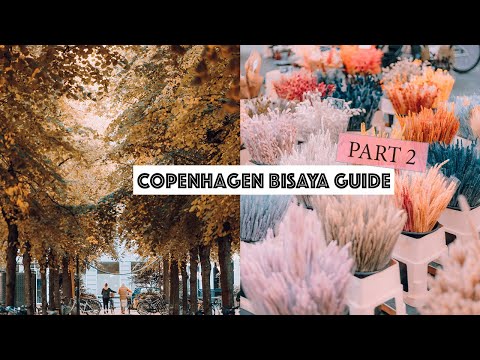 Canal Tour & Round Tower in Copenhagen | Bisaya Guide | Tito Eugenio TV