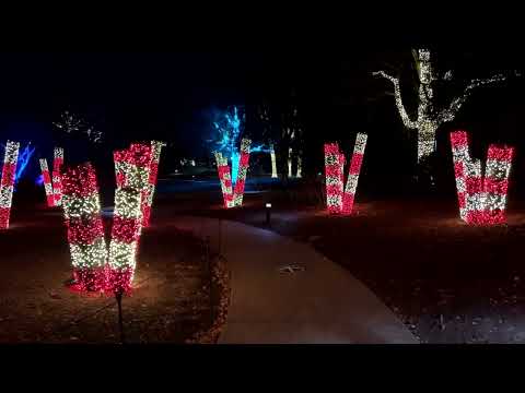 Experience Holiday Lights at Cheekwood