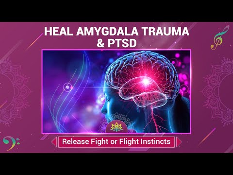 Heal Amygdala Trauma & PTSD - Release Fight or Flight Instincts -Therapeutic Amygdala Music - 528 Hz