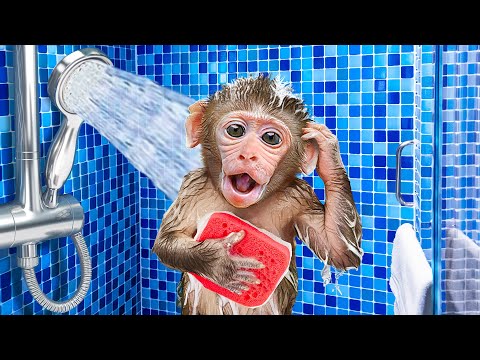 KiKi Monkey take a bath with shower in the toilet then go to M&M Candy Store | KUDO ANIMAL KIKI