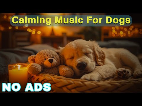 12 Hours of Dog Calming Music for Dogs 🎵 Dog Sleep Music 🐶 Separation Anxiety Relief Music ⭐No Ads