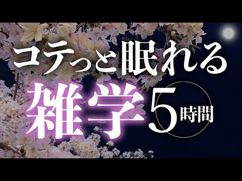 【睡眠導入】コテっと眠れる雑学5時間【合成音声】